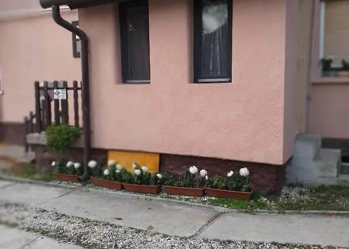 Tapolcai Gazde/Camere de închiriat Tapolca